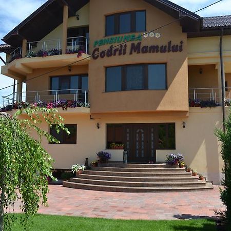 Pensiunea Codrii Mamului Lungesti Dış mekan fotoğraf